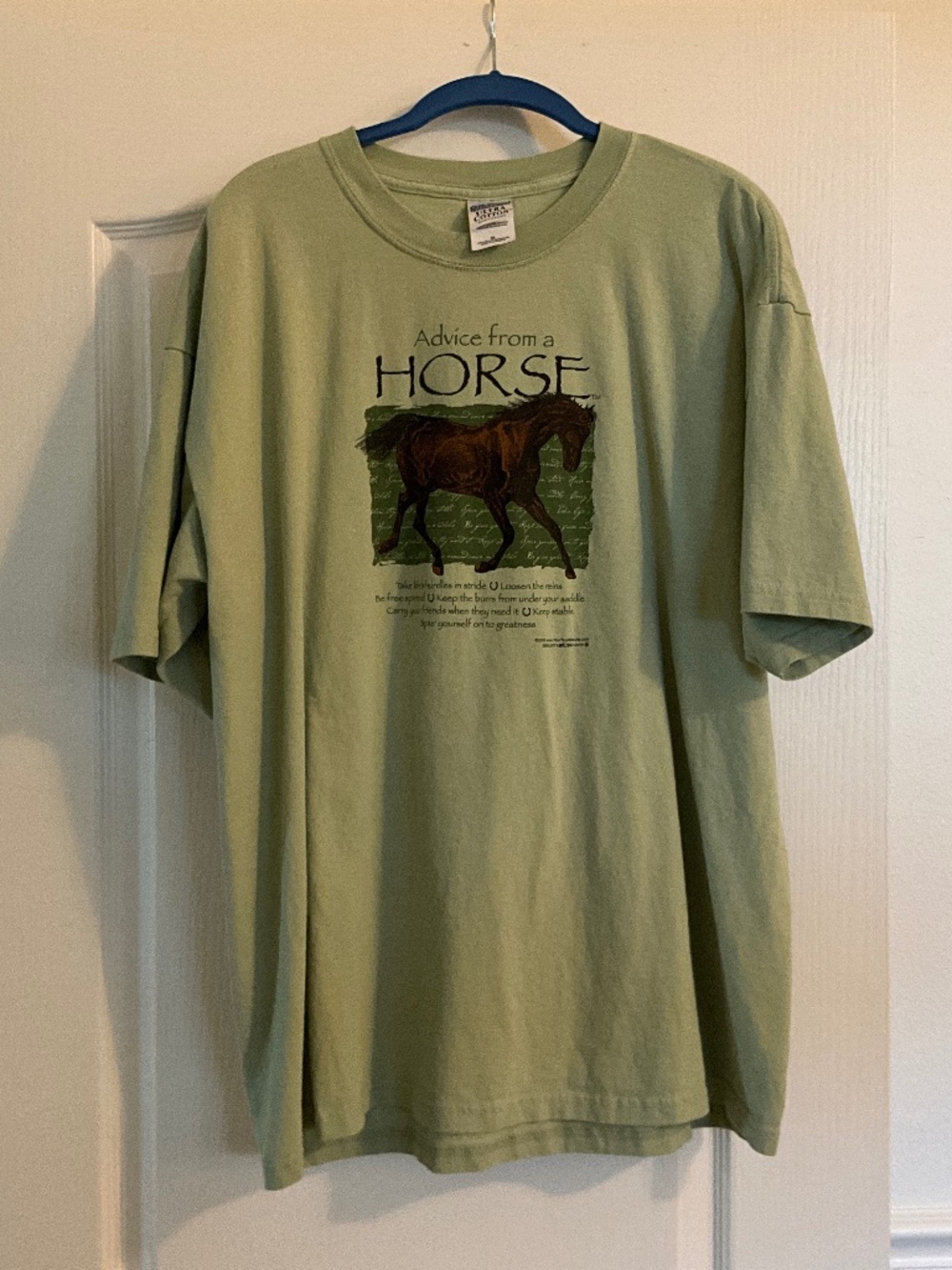 Advice from a Horse T-shirt.